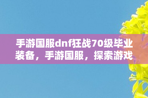 手游国服dnf狂战70级毕业装备,手游国服,探索游戏世界的无限可能 手游国服dnf狂战70级毕业装备,手游国服,探索游戏世界的无限可能