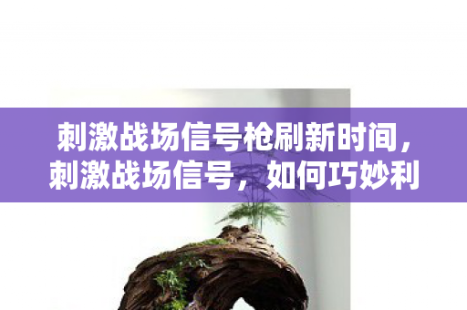 刺激战场信号枪刷新时间,刺激战场信号,如何巧妙利用信号区,提升生存与竞技水平 刺激战场信号枪刷新时间,刺激战场信号,如何巧妙利用信号区,提升生存与竞技水平