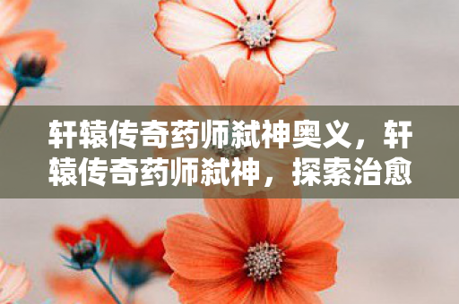 轩辕传奇药师弑神奥义,轩辕传奇药师弑神,探索治愈与毁灭的边界 轩辕传奇药师弑神奥义,轩辕传奇药师弑神,探索治愈与毁灭的边界