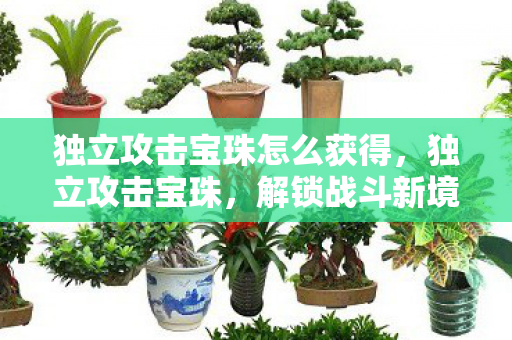 独立攻击宝珠怎么获得，独立攻击宝珠，解锁战斗新境界的秘宝