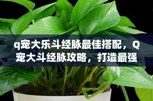 q宠大乐斗经脉最佳搭配,Q宠大斗经脉攻略,打造最强宠物的关键步骤 q宠大乐斗经脉最佳搭配,Q宠大斗经脉攻略,打造最强宠物的关键步骤