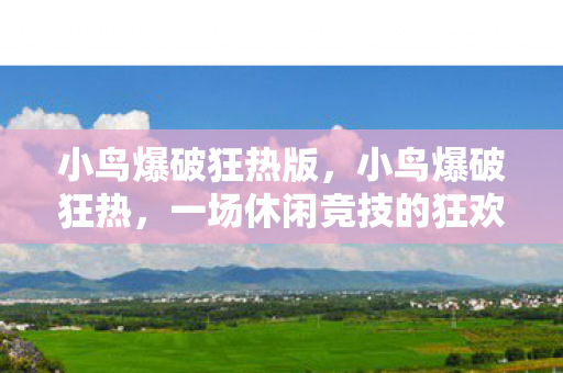 小鸟爆破狂热版,小鸟爆破狂热,一场休闲竞技的狂欢 小鸟爆破狂热版,小鸟爆破狂热,一场休闲竞技的狂欢