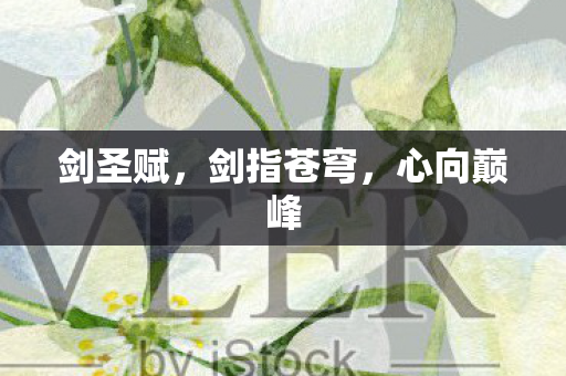 剑圣赋,剑指苍穹,心向巅峰 剑圣赋,剑指苍穹,心向巅峰