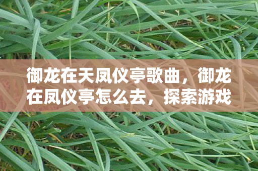 御龙在天凤仪亭歌曲,御龙在凤仪亭怎么去,探索游戏世界的神秘之旅 御龙在天凤仪亭歌曲,御龙在凤仪亭怎么去,探索游戏世界的神秘之旅