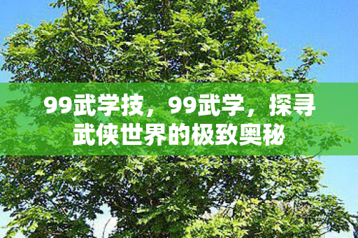 99武学技,99武学,探寻武侠世界的极致奥秘 99武学技,99武学,探寻武侠世界的极致奥秘
