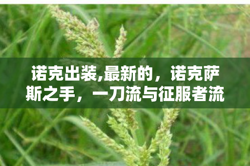 诺克出装,最新的,诺克萨斯之手,一刀流与征服者流的出装策略 诺克出装,最新的,诺克萨斯之手,一刀流与征服者流的出装策略