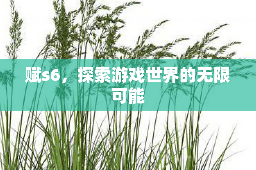 赋s6，探索游戏世界的无限可能