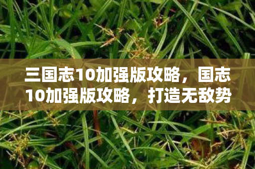 三国志10加强版攻略,国志10加强版攻略,打造无敌势力的全面指南 三国志10加强版攻略,国志10加强版攻略,打造无敌势力的全面指南
