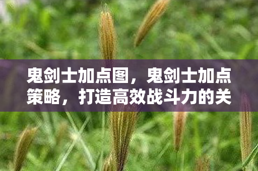 鬼剑士加点图,鬼剑士加点策略,打造高效战斗力的关键 鬼剑士加点图,鬼剑士加点策略,打造高效战斗力的关键