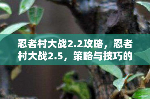 忍者村大战2.2攻略，忍者村大战2.5，策略与技巧的完美融合