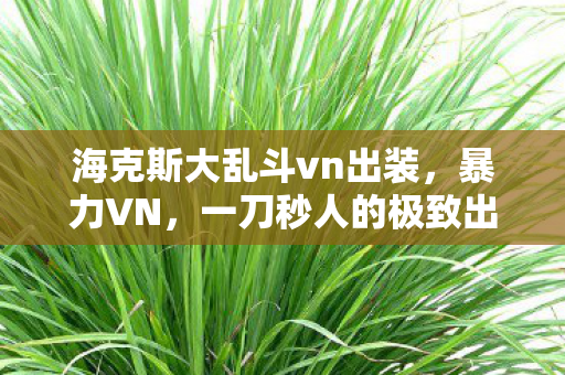 海克斯大乱斗vn出装,暴力VN,一刀秒人的极致出装 海克斯大乱斗vn出装,暴力VN,一刀秒人的极致出装