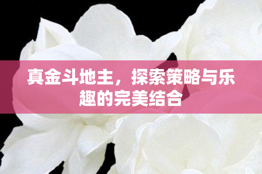 真金斗地主，探索策略与乐趣的完美结合