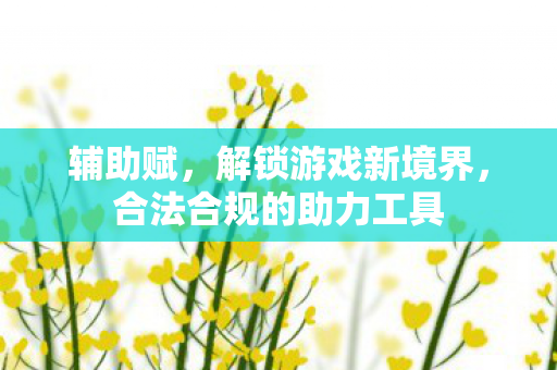 辅助赋，解锁游戏新境界，合法合规的助力工具