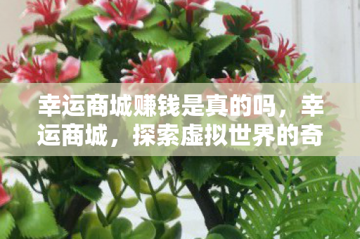 幸运商城赚钱是真的吗，幸运商城，探索虚拟世界的奇妙之旅