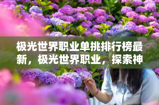 极光世界职业单挑排行榜最新,极光世界职业,探索神秘法师的魔法之旅 极光世界职业单挑排行榜最新,极光世界职业,探索神秘法师的魔法之旅