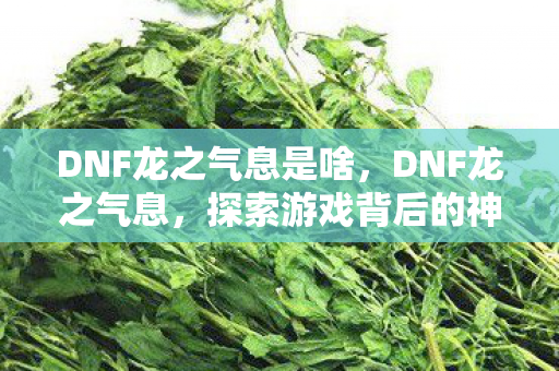 DNF龙之气息是啥,DNF龙之气息,探索游戏背后的神秘力量 DNF龙之气息是啥,DNF龙之气息,探索游戏背后的神秘力量