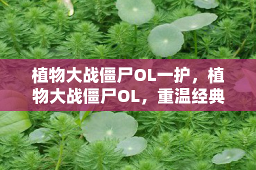 植物大战僵尸OL一护，植物大战僵尸OL，重温经典，探索未知的植物与僵尸世界