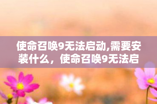 使命召唤9无法启动,需要安装什么，使命召唤9无法启动，解决疑难杂症的全面指南
