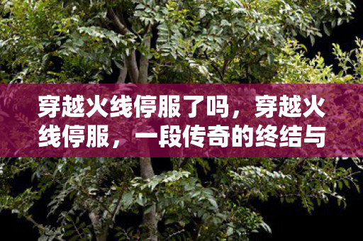 穿越火线停服了吗,穿越火线停服,一段传奇的终结与未来的展望 穿越火线停服了吗,穿越火线停服,一段传奇的终结与未来的展望