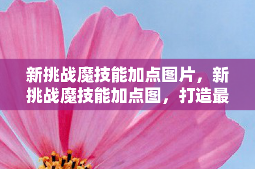 新挑战魔技能加点图片,新挑战魔技能加点图,打造最强角色的关键 新挑战魔技能加点图片,新挑战魔技能加点图,打造最强角色的关键