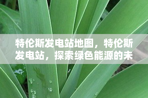 特伦斯发电站地图,特伦斯发电站,探索绿色能源的未来 特伦斯发电站地图,特伦斯发电站,探索绿色能源的未来