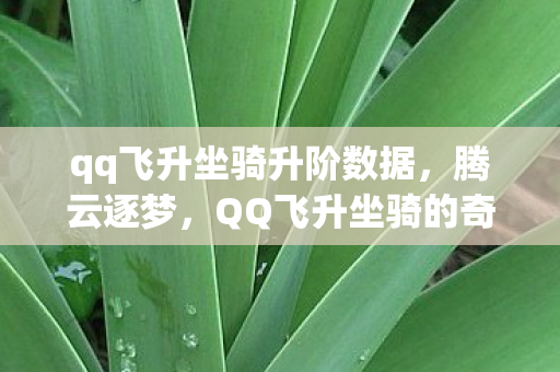 qq飞升坐骑升阶数据,腾云逐梦,QQ飞升坐骑的奇幻之旅 qq飞升坐骑升阶数据,腾云逐梦,QQ飞升坐骑的奇幻之旅
