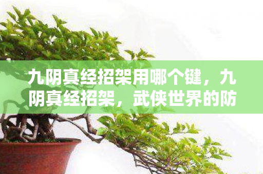 九阴真经招架用哪个键,九阴真经招架,武侠世界的防御艺术 九阴真经招架用哪个键,九阴真经招架,武侠世界的防御艺术