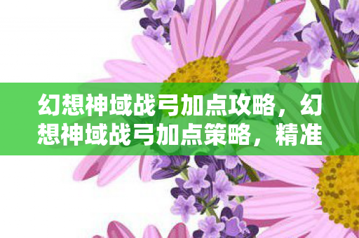 幻想神域战弓加点攻略，幻想神域战弓加点策略，精准与效率的平衡