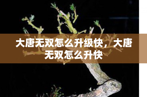 大唐无双怎么升级快,大唐无双怎么升快 大唐无双怎么升级快,大唐无双怎么升快