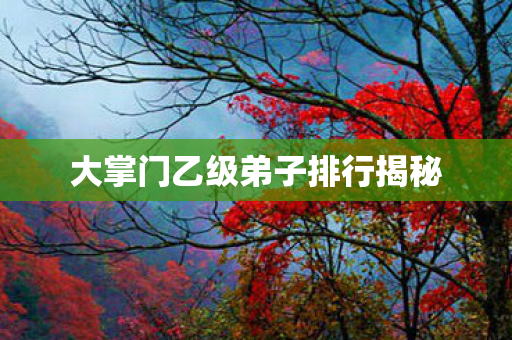 大掌门乙级弟子排行揭秘 大掌门乙级弟子排行揭秘