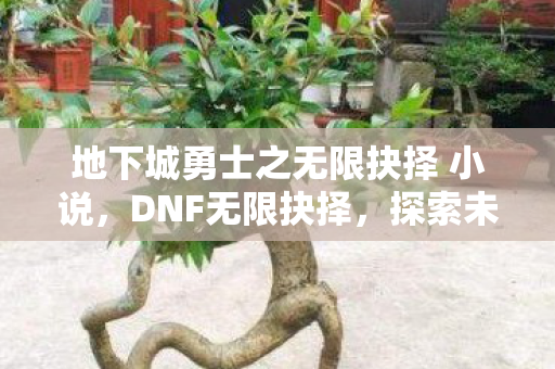 地下城勇士之无限抉择 小说,DNF无限抉择,探索未知,挑战极限 地下城勇士之无限抉择 小说,DNF无限抉择,探索未知,挑战极限