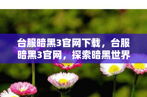 台服暗黑3官网下载,台服暗黑3官网,探索暗黑世界的独特魅力 台服暗黑3官网下载,台服暗黑3官网,探索暗黑世界的独特魅力