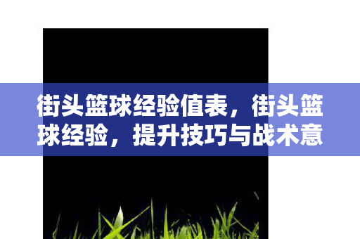 街头篮球经验值表,街头篮球经验,提升技巧与战术意识的实战指南 街头篮球经验值表,街头篮球经验,提升技巧与战术意识的实战指南