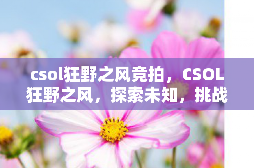 csol狂野之风竞拍,CSOL狂野之风,探索未知,挑战极限 csol狂野之风竞拍,CSOL狂野之风,探索未知,挑战极限