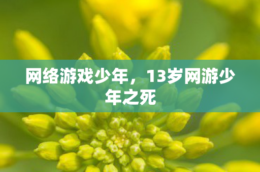 网络游戏少年,13岁网游少年之死 网络游戏少年,13岁网游少年之死