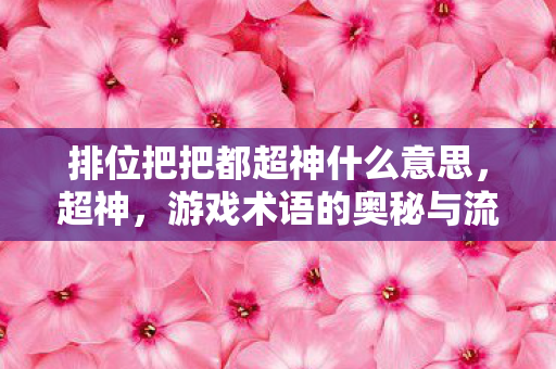 排位把把都超神什么意思,超神,游戏术语的奥秘与流行文化解析 排位把把都超神什么意思,超神,游戏术语的奥秘与流行文化解析