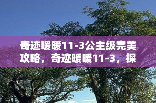 奇迹暖暖11-3公主级完美攻略,奇迹暖暖11-3,探索未知,挑战自我 奇迹暖暖11-3公主级完美攻略,奇迹暖暖11-3,探索未知,挑战自我
