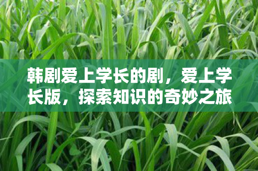 韩剧爱上学长的剧,爱上学长版,探索知识的奇妙之旅 韩剧爱上学长的剧,爱上学长版,探索知识的奇妙之旅