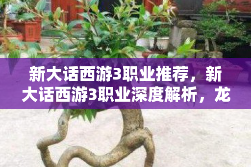 新大话西游3职业推荐,新大话西游3职业深度解析,龙太子的传奇之旅 新大话西游3职业推荐,新大话西游3职业深度解析,龙太子的传奇之旅