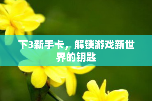 下3新手卡,解锁游戏新世界的钥匙 下3新手卡,解锁游戏新世界的钥匙