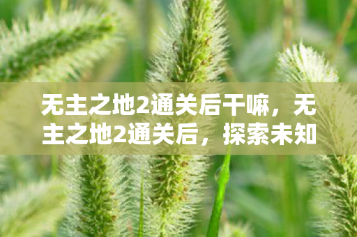 无主之地2通关后干嘛，无主之地2通关后，探索未知世界的无尽可能