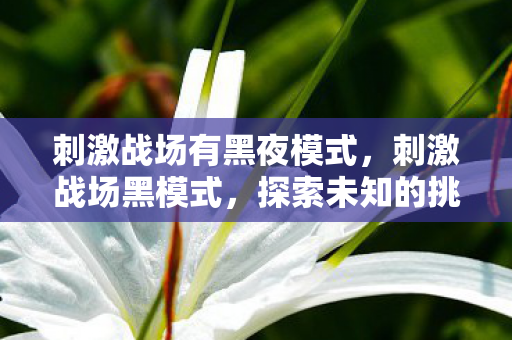 刺激战场有黑夜模式,刺激战场黑模式,探索未知的挑战与乐趣 刺激战场有黑夜模式,刺激战场黑模式,探索未知的挑战与乐趣