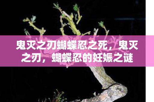 鬼灭之刃蝴蝶忍之死,鬼灭之刃,蝴蝶忍的妊娠之谜 鬼灭之刃蝴蝶忍之死,鬼灭之刃,蝴蝶忍的妊娠之谜