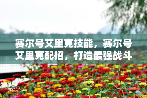 赛尔号艾里克技能,赛尔号艾里克配招,打造最强战斗阵容 赛尔号艾里克技能,赛尔号艾里克配招,打造最强战斗阵容