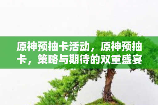 原神预抽卡活动,原神预抽卡,策略与期待的双重盛宴 原神预抽卡活动,原神预抽卡,策略与期待的双重盛宴