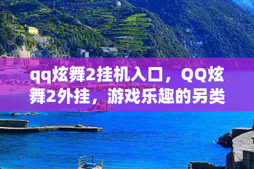 qq炫舞2挂机入口，QQ炫舞2外挂，游戏乐趣的另类探索