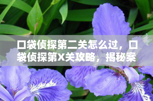 口袋侦探第二关怎么过，口袋侦探第X关攻略，揭秘案件真相的侦探之旅