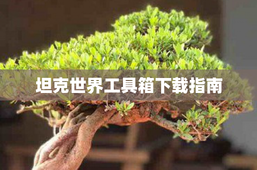 坦克世界工具箱下载指南 坦克世界工具箱下载指南