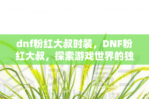 dnf粉红大叔时装，DNF粉红大叔，探索游戏世界的独特魅力
