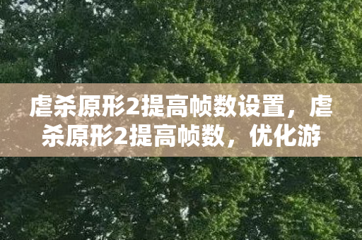 虐杀原形2提高帧数设置，虐杀原形2提高帧数，优化游戏性能，畅享流畅体验